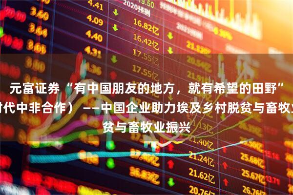 元富证券 “有中国朋友的地方，就有希望的田野”（新时代中非合作） ——中国企业助力埃及乡村脱贫与畜牧业振兴