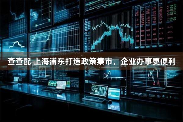 查查配 上海浦东打造政策集市，企业办事更便利
