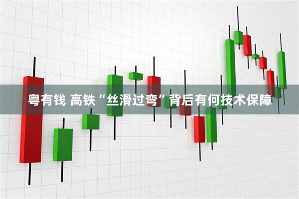 粤有钱 高铁“丝滑过弯”背后有何技术保障